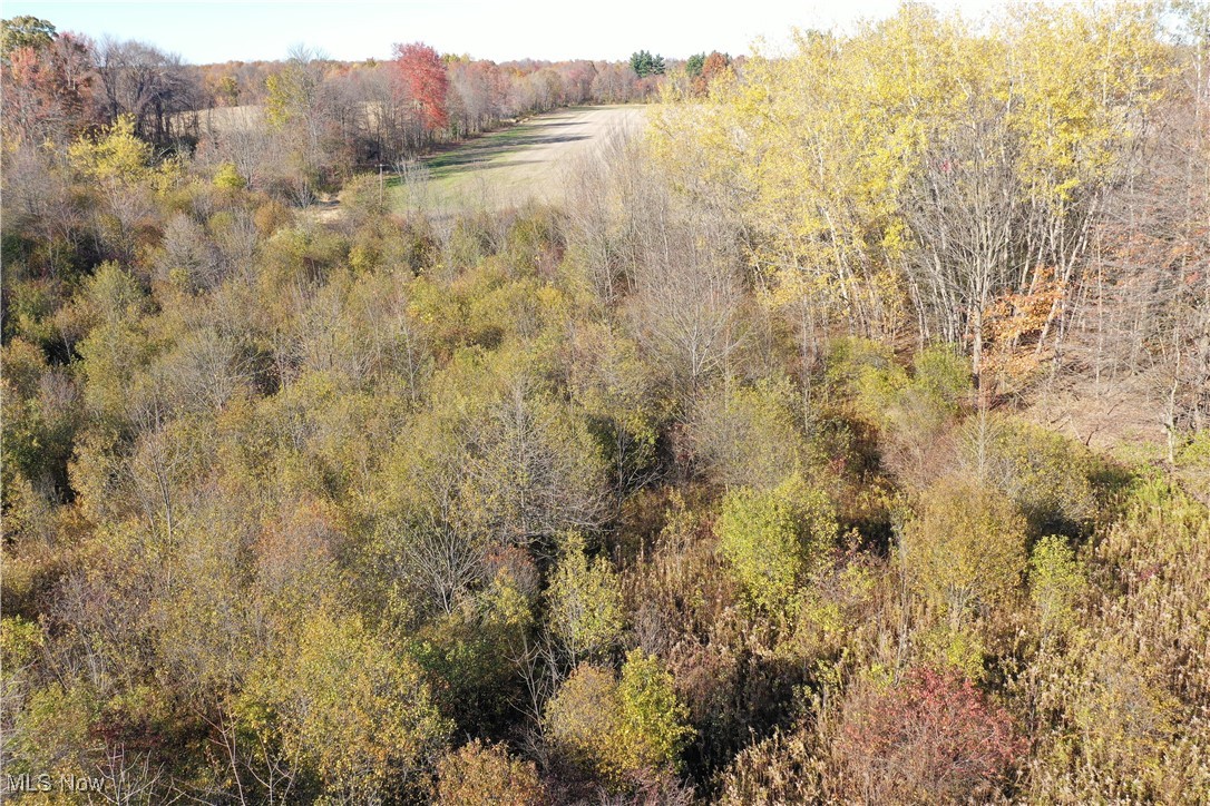 Brockway Road Rome, OH 44085 - Photo 12 of 16 Gallery Image 12
