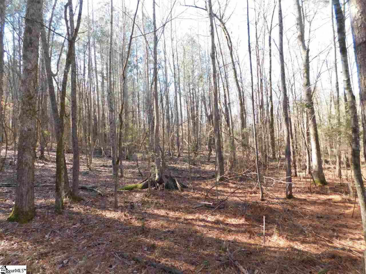 0 A B Jacks Road Clinton, SC 29325 - Photo 11 of 16 Gallery Image 11