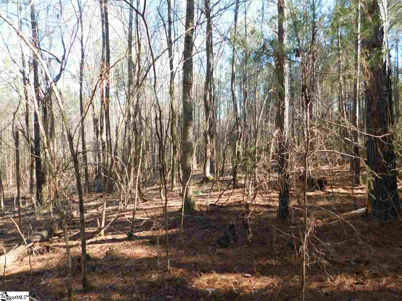 0 A B Jacks Road Clinton, SC 29325 - Photo 12 of 16 Gallery Image 12