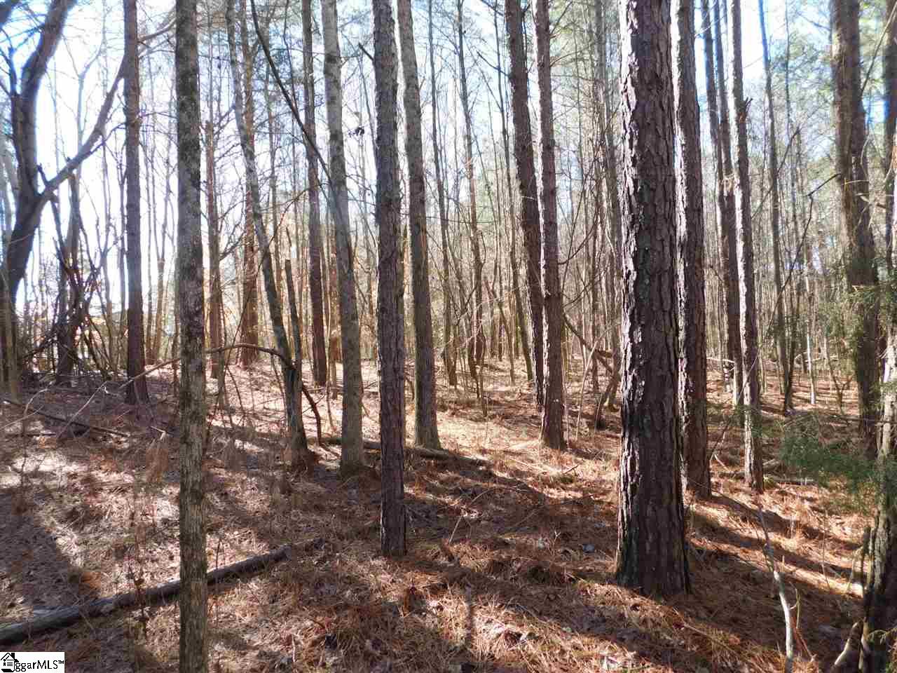 0 A B Jacks Road Clinton, SC 29325 - Photo 13 of 16 Gallery Image 13
