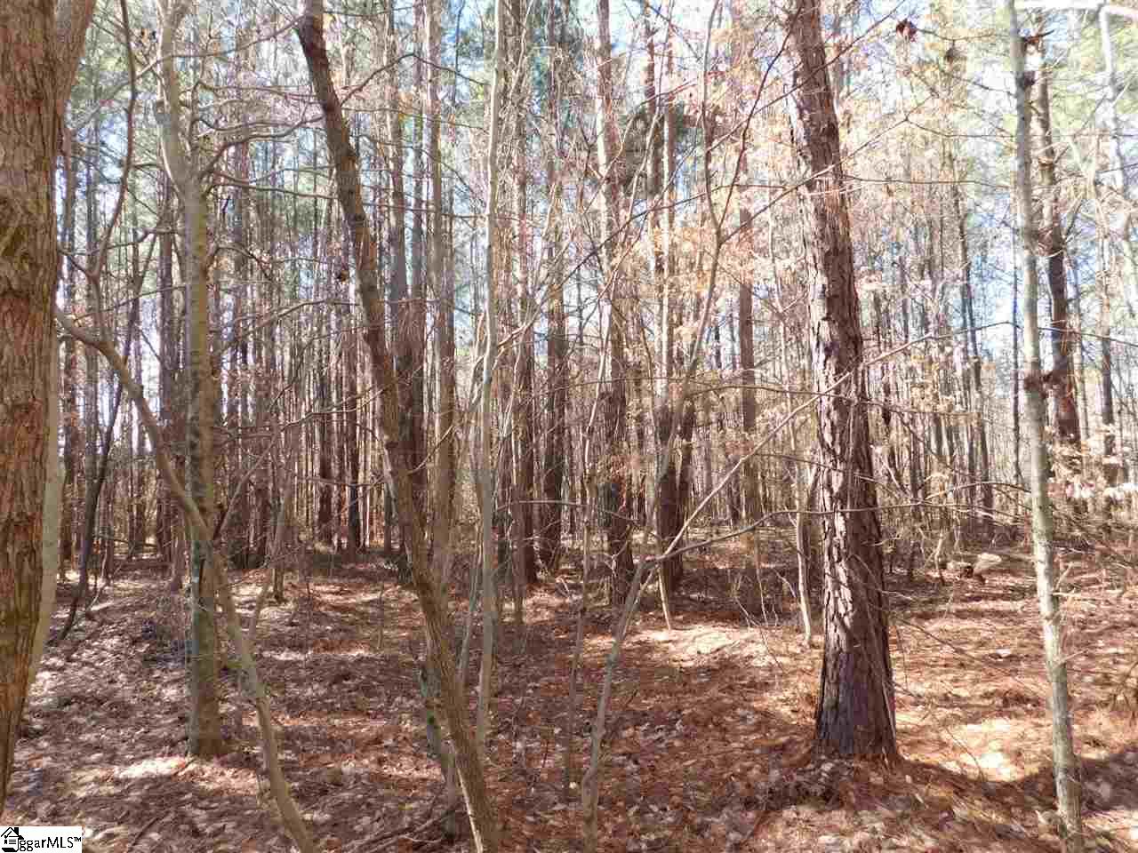 0 A B Jacks Road Clinton, SC 29325 - Photo 15 of 16 Gallery Image 15