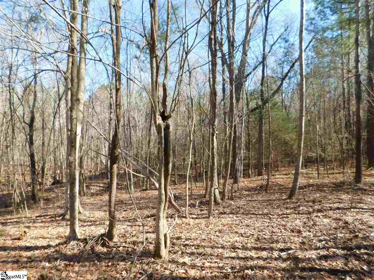 0 A B Jacks Road Clinton, SC 29325 - Photo 8 of 16 Gallery Image 8