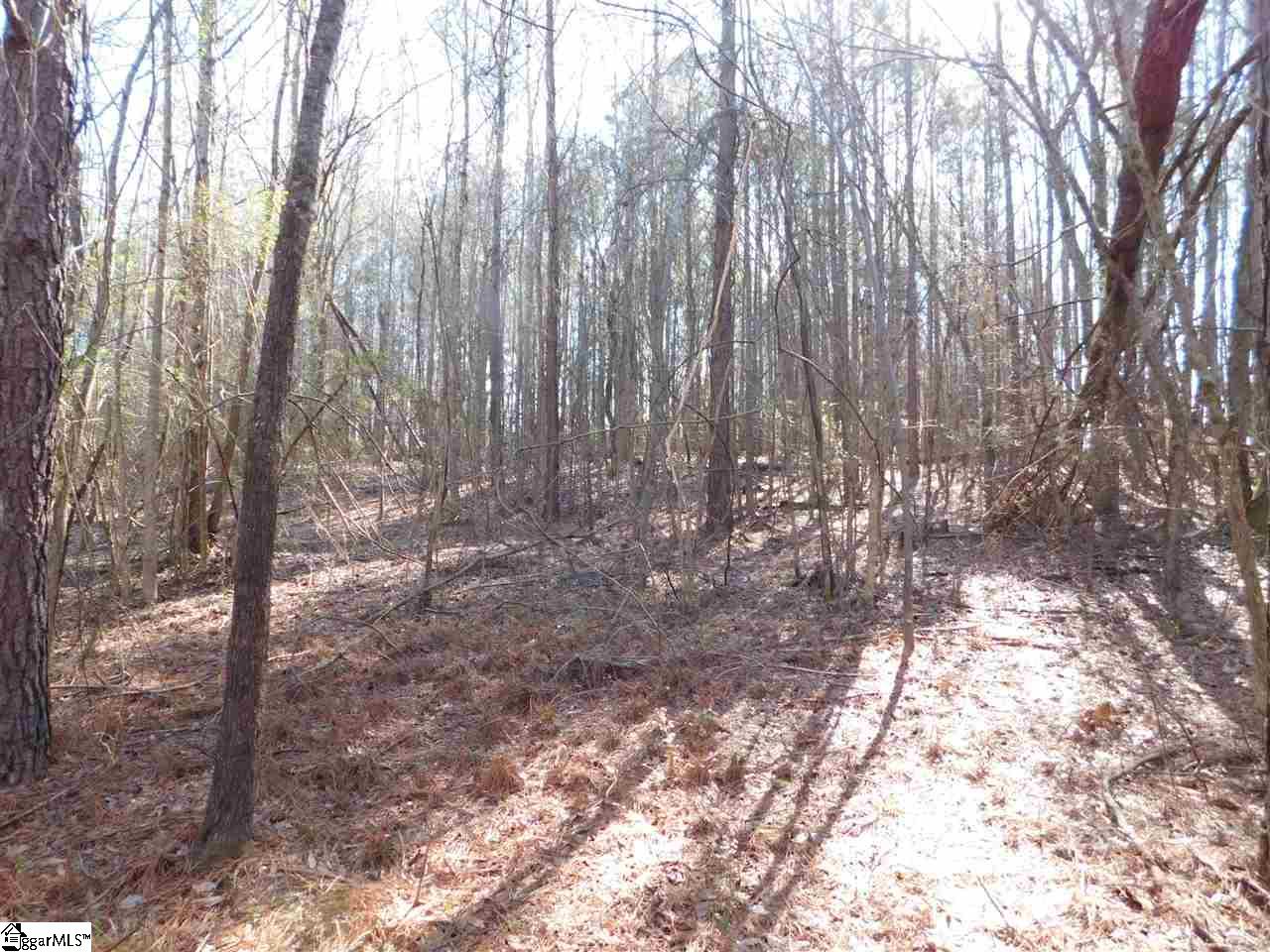 0 A B Jacks Road Clinton, SC 29325 - Photo 10 of 16 Gallery Image 10