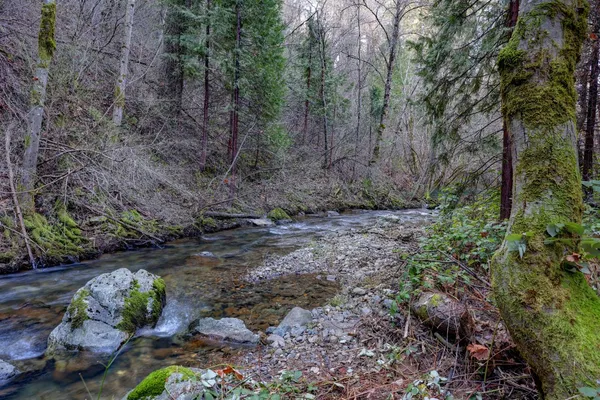 $259,000 | 0 Canyon Creek Way, Alta, CA 95701