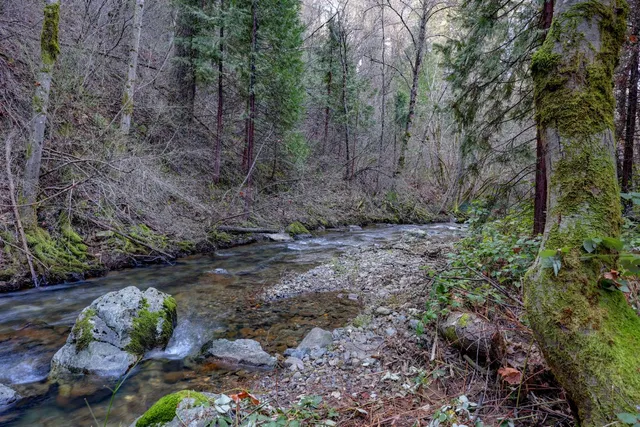 $259,000 | 0 Canyon Creek Way, Alta, CA 95701