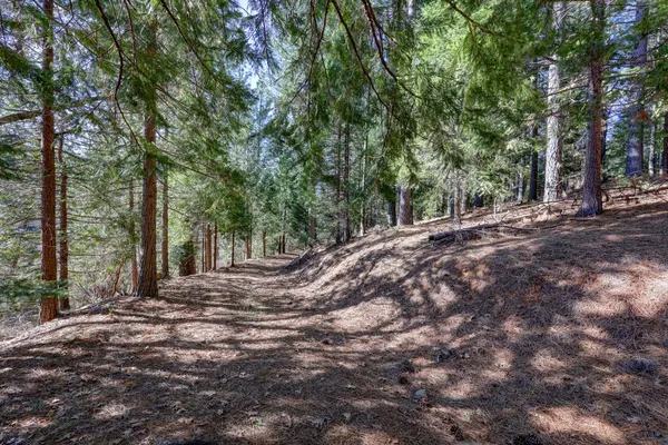 $259,000 | 0 Canyon Creek Way, Alta, CA 95701