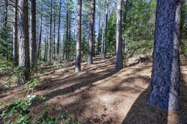 $259,000 | 0 Canyon Creek Way, Alta, CA 95701