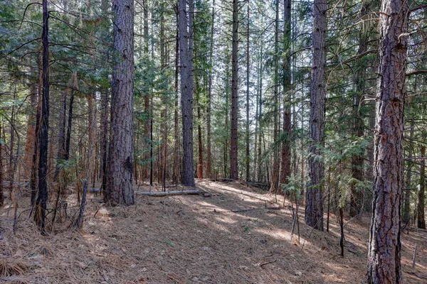 $259,000 | 0 Canyon Creek Way, Alta, CA 95701