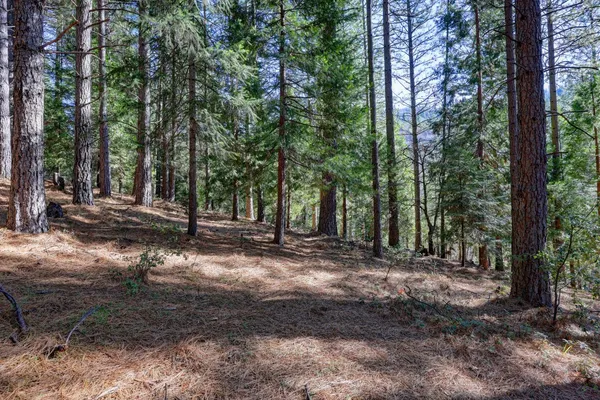 $259,000 | 0 Canyon Creek Way, Alta, CA 95701