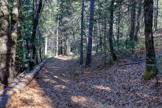 $259,000 | 0 Canyon Creek Way, Alta, CA 95701