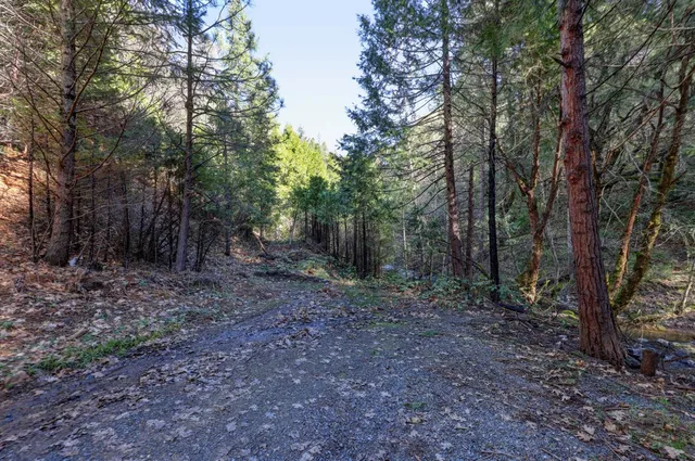 $259,000 | 0 Canyon Creek Way, Alta, CA 95701