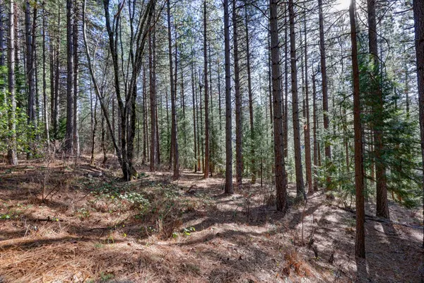 $259,000 | 0 Canyon Creek Way, Alta, CA 95701