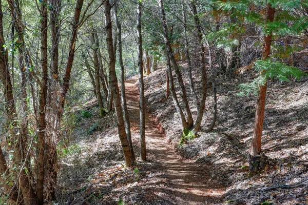 $259,000 | 0 Canyon Creek Way, Alta, CA 95701