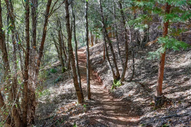 $259,000 | 0 Canyon Creek Way, Alta, CA 95701