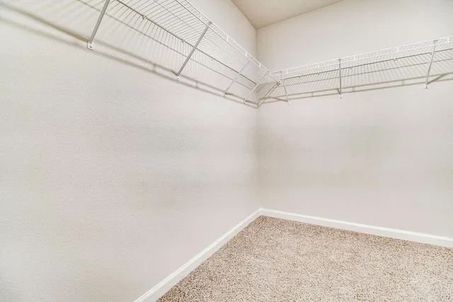 a view of a room with racks on the wall