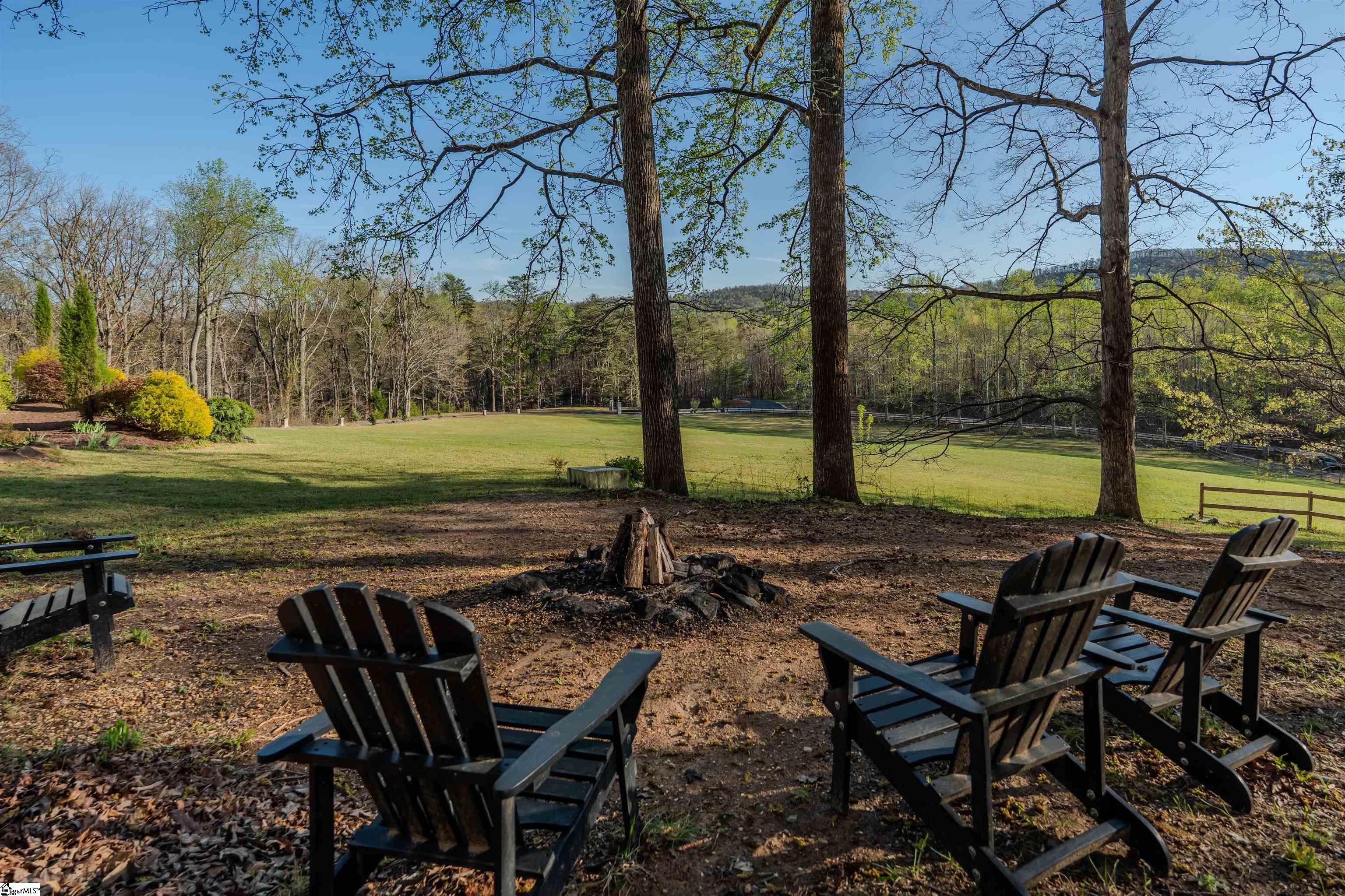 100 Dug Hill Road Landrum, SC 29356 - Photo 6 of 50