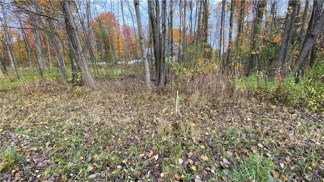 $15,000 | 43 O'Brien Glenway, Oswego, NY 13126