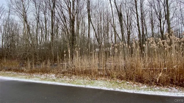 $15,000 | 43 O'Brien Glenway, Oswego, NY 13126