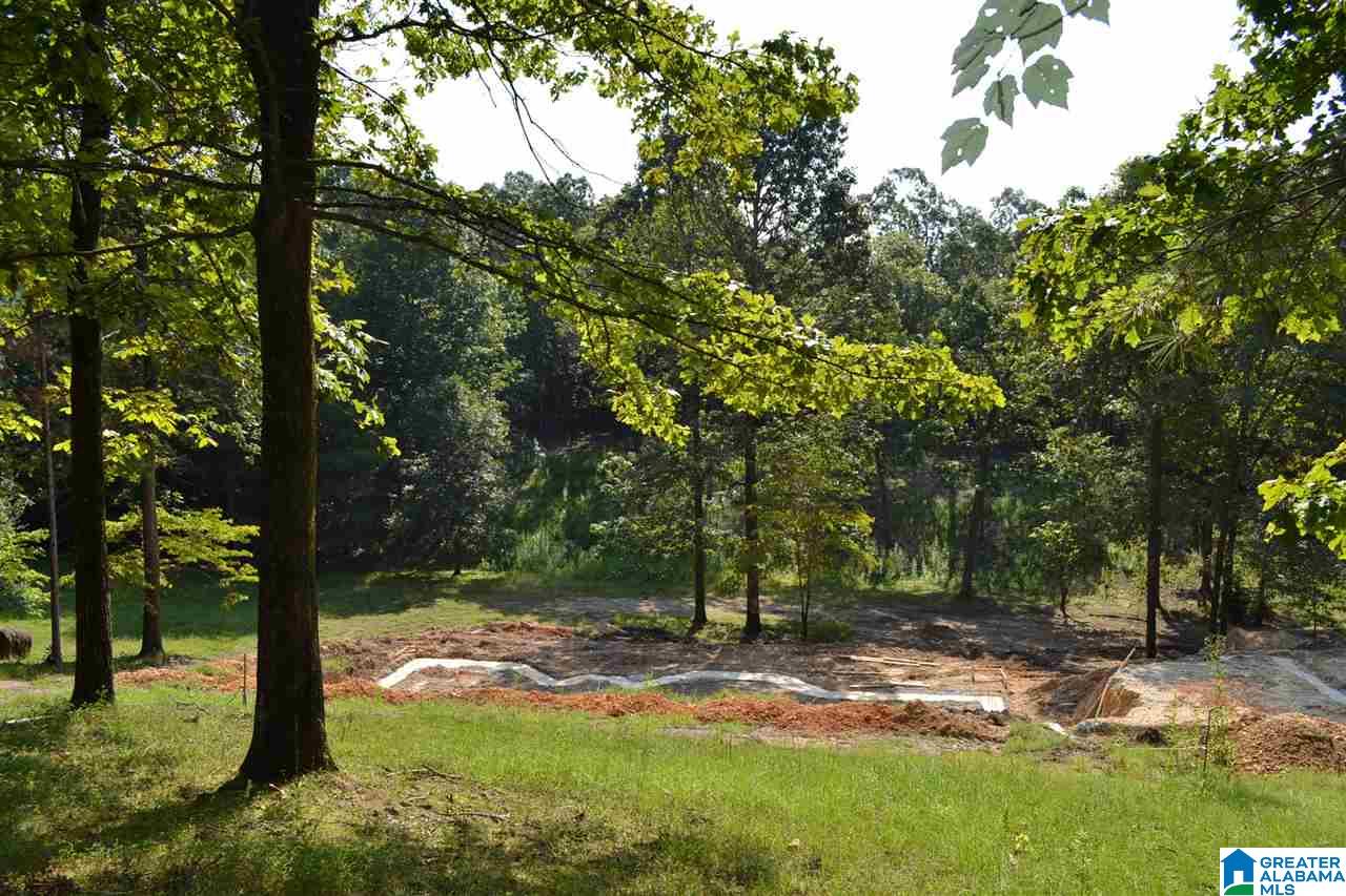 6 Pawnee Drive Pelham, AL 35124 - Photo 13 of 14