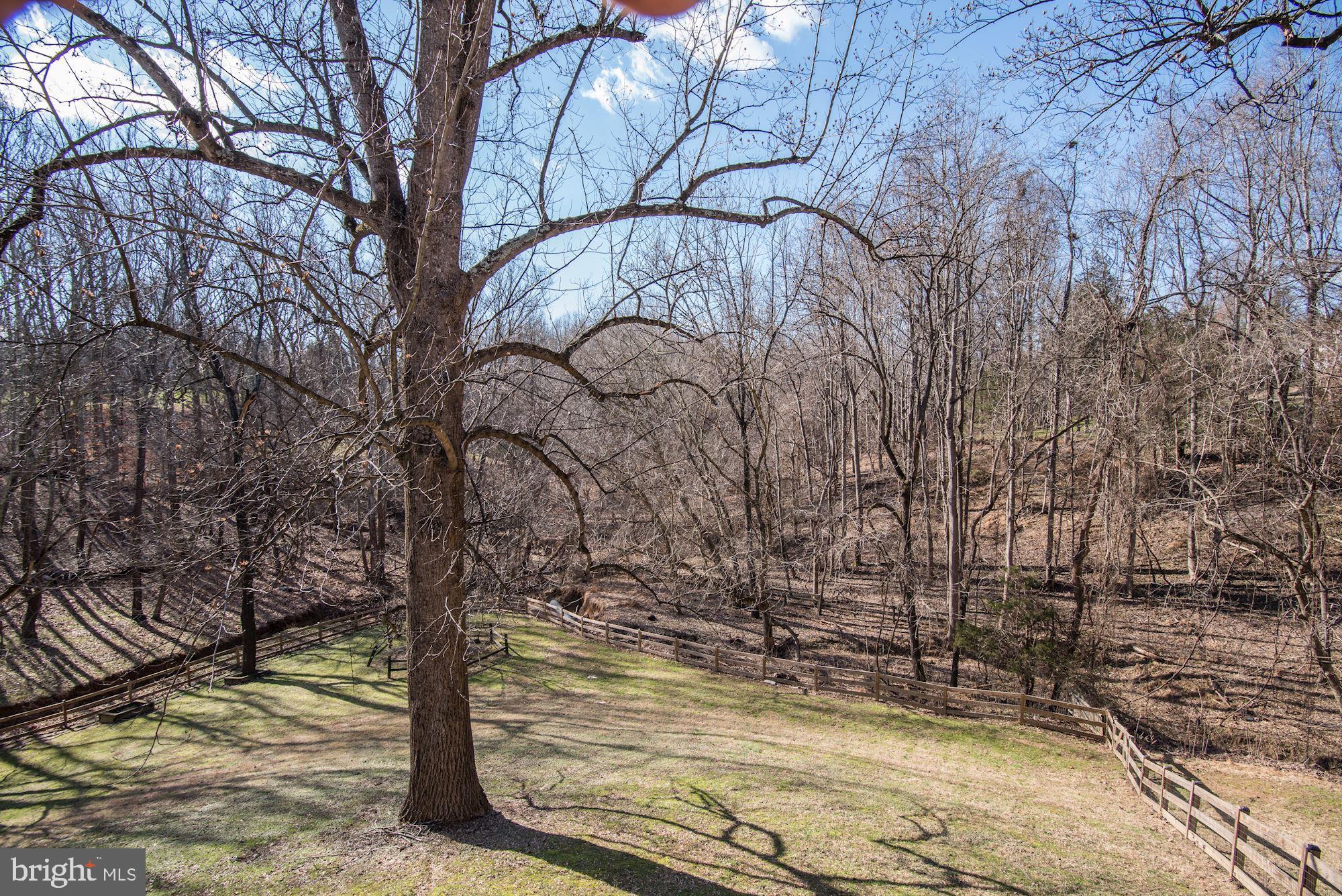 12405 Rivers Edge Drive Potomac, MD 20854 - Photo 66 of 67