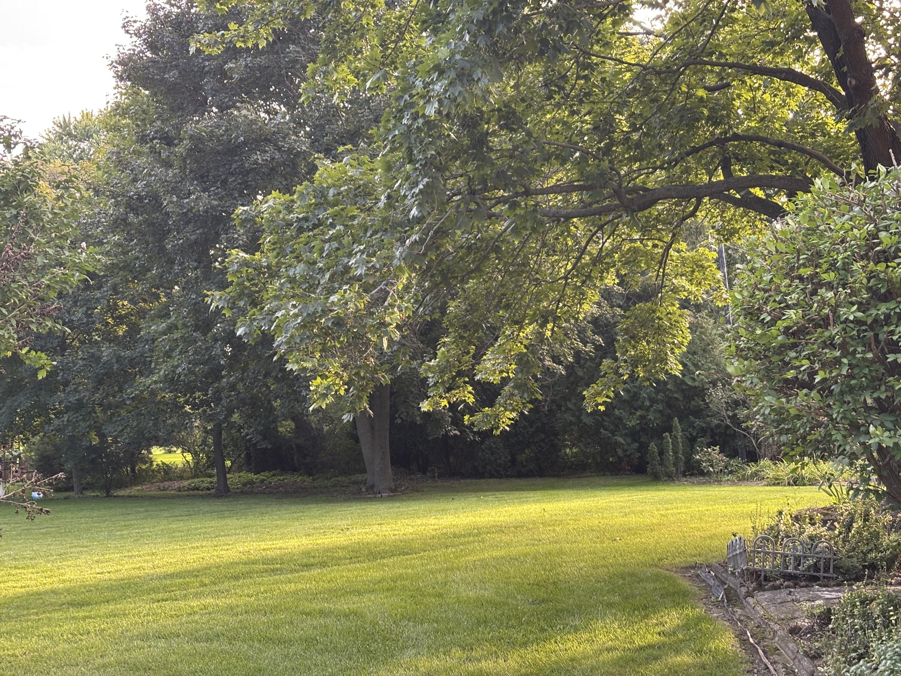 1701 West Donges Bay Road Mequon, WI 53092 - Photo 3 of 29 Backyard