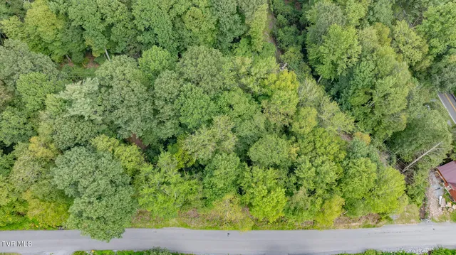 $30,000 | Tbd Azen Road, Damascus, VA 24236