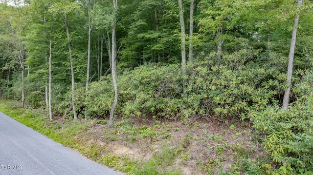 $30,000 | Tbd Azen Road, Damascus, VA 24236