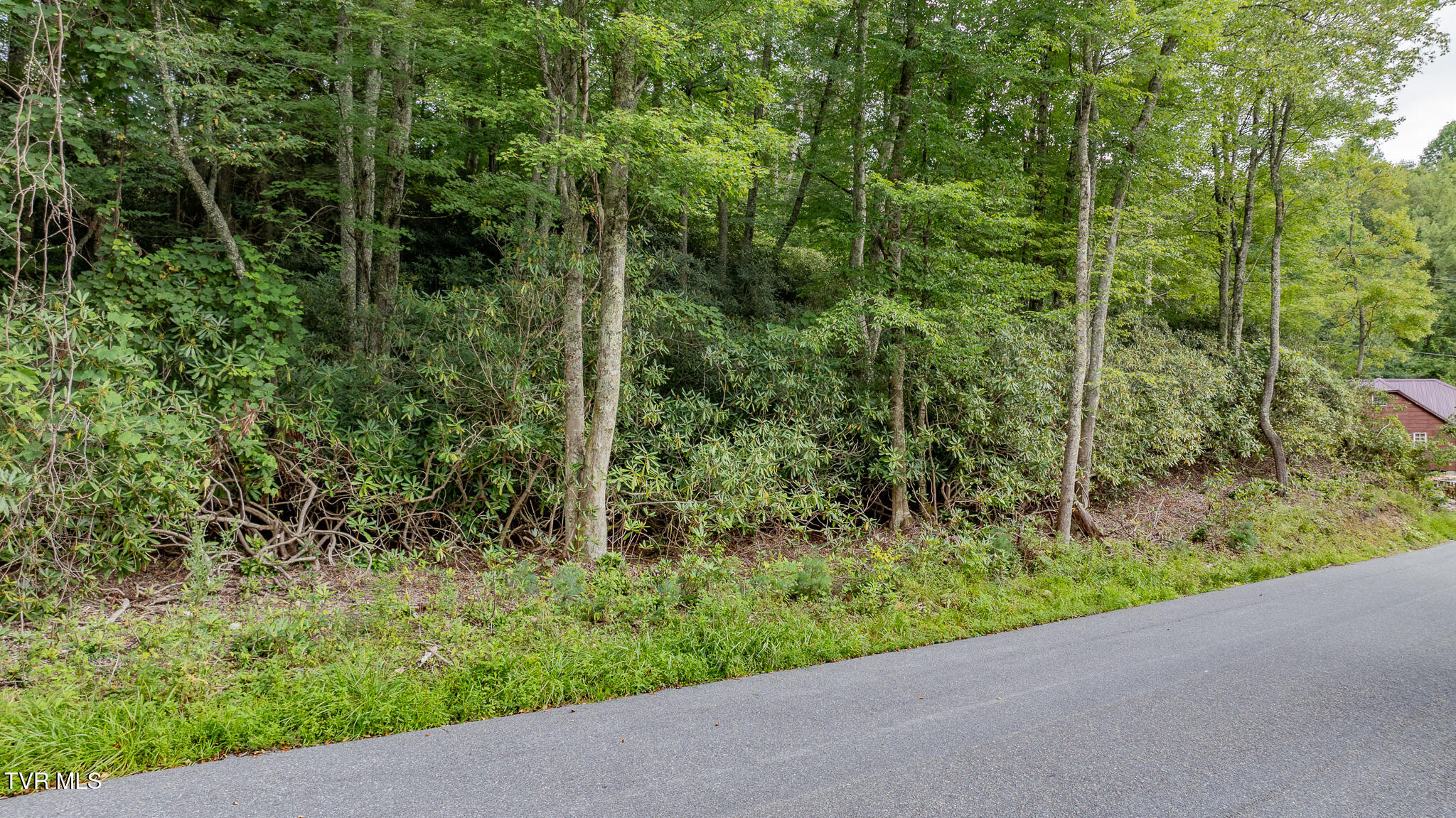 Tbd Azen Road Damascus, VA 24236 - Photo 7 of 7 dji_fly_20250821_160710_0417_17558069690