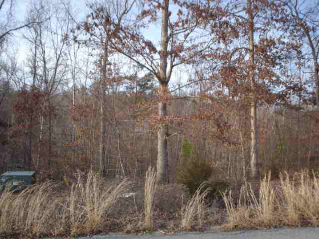 Lot 14 Thorn Ridge Lane Pelzer, SC 29669 - Photo 1 of 1