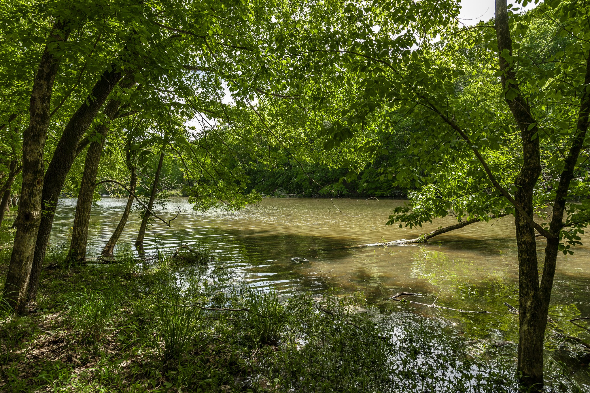 1162 Lake Marie Road Gallatin, TN 37066 - Photo 23 of 58 Gallery Image 23