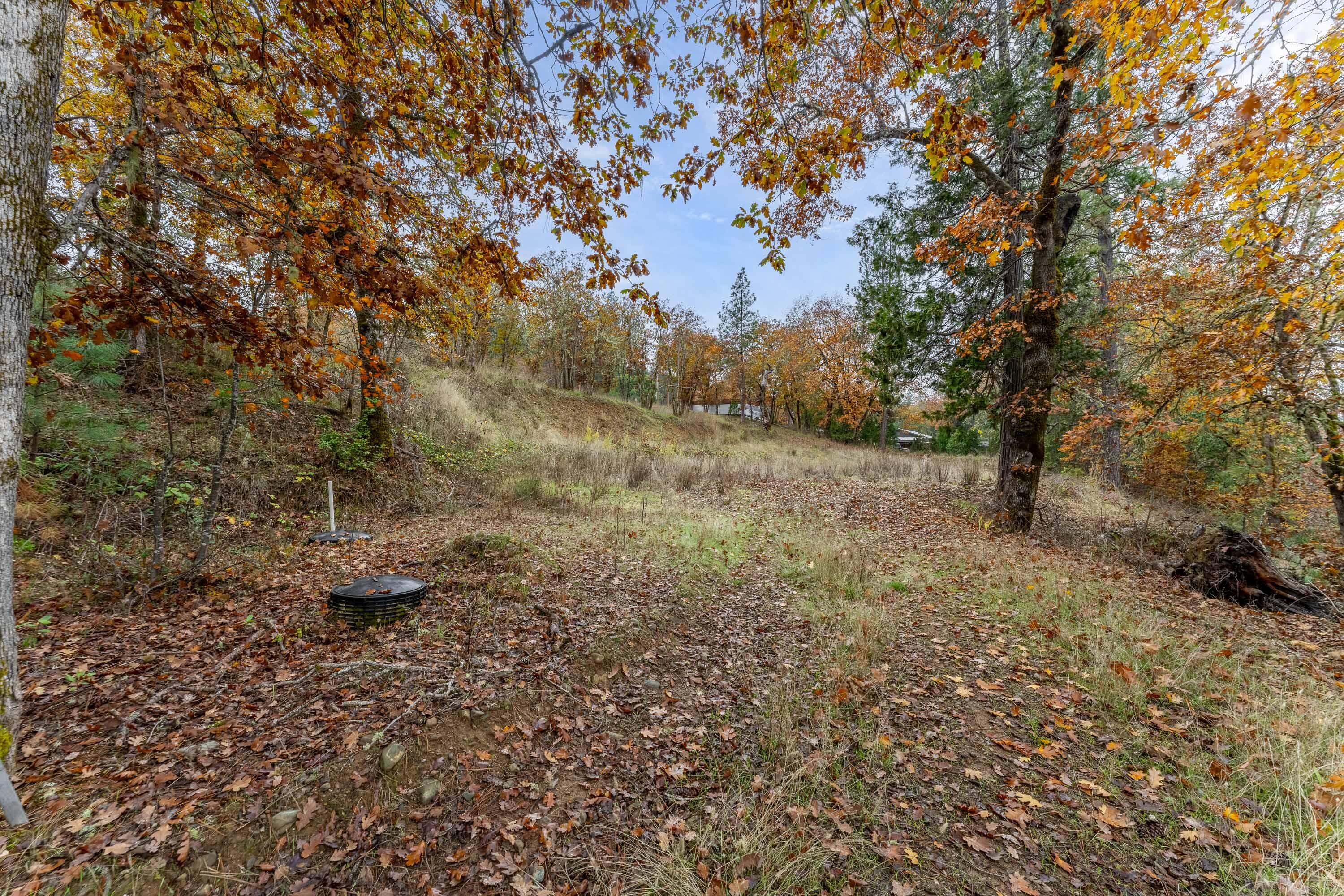 1700 Abegg Road Merlin, OR 97532 - Photo 5 of 17 EXT (1 of 7)