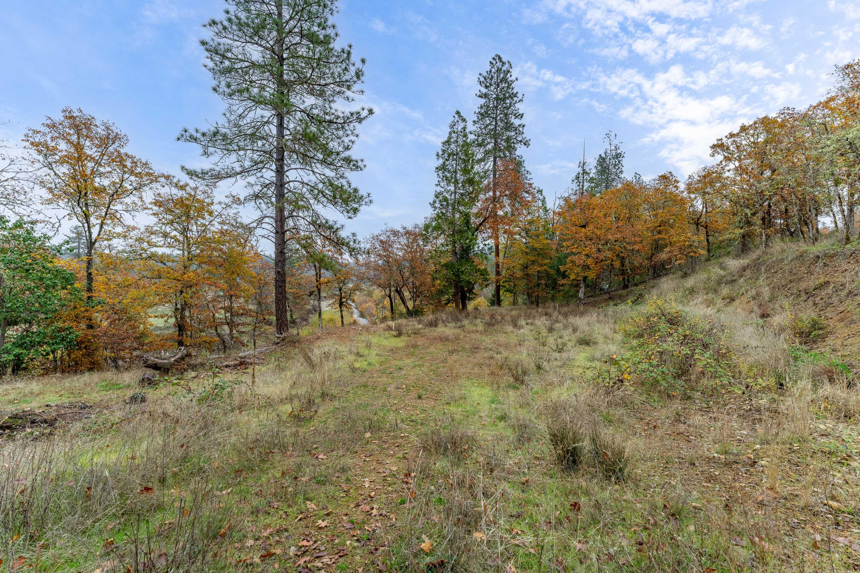 1700 Abegg Road Merlin, OR 97532 - Photo 8 of 17 EXT (3 of 7)