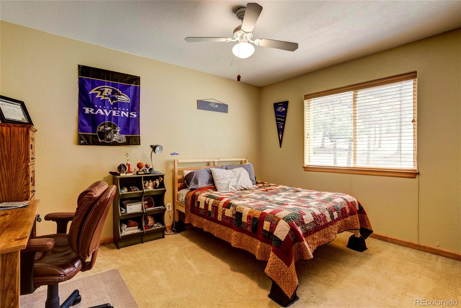 3567 Nova Road Pine, CO 80470 - Photo 21 of 32 Gallery Image 21