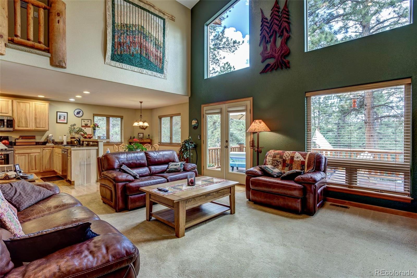 3567 Nova Road Pine, CO 80470 - Photo 3 of 32 Gallery Image 3