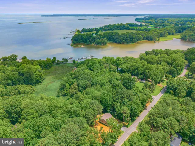 a view of a garden with a building in the background