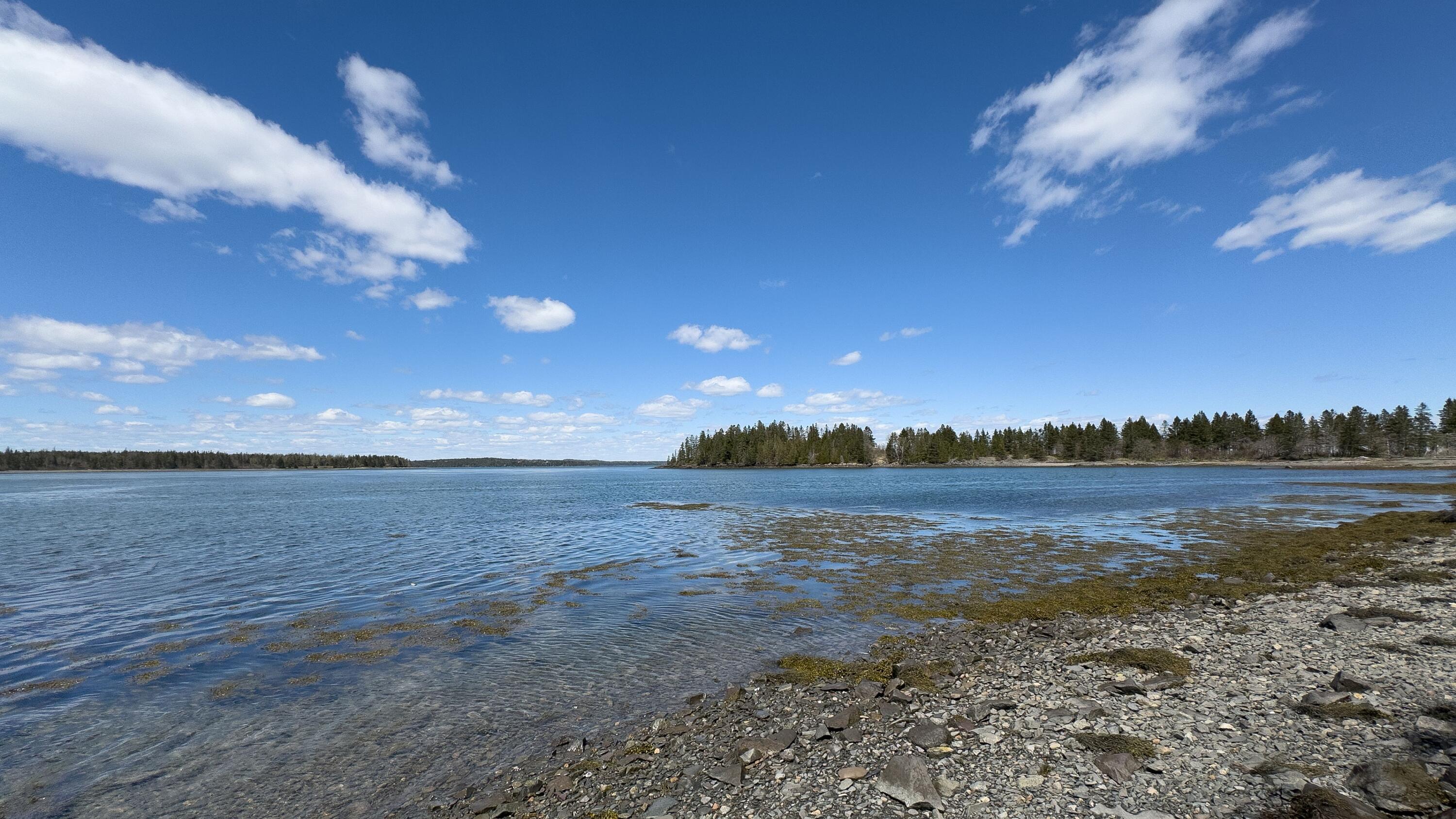 1058 Straight Bay Road Lubec, ME 04652 - Photo 47 of 81 1058 STRAIGHT BAY ROAD SHORE 7