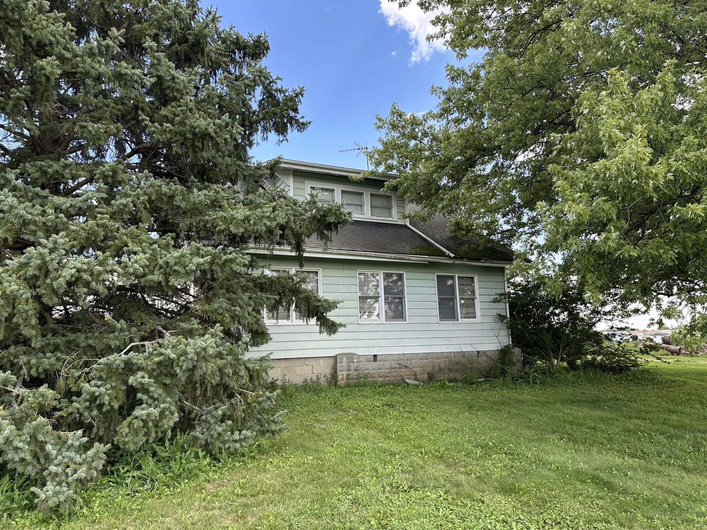 29145 Dixie Highway Beecher, IL 60401 - Photo 3 of 7 front view of house with a yard