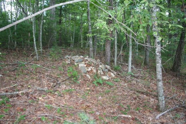 River Front Ridge Road Jefferson, NC 28629 - Photo 1 of 7 Gallery Image 1