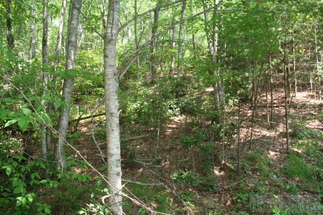 River Front Ridge Road Jefferson, NC 28629 - Photo 4 of 7 Gallery Image 4