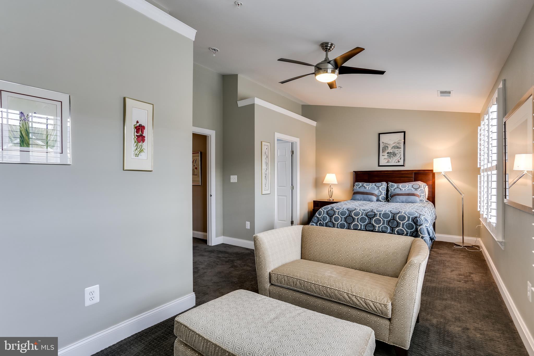 2265 Brimstone Place Hanover, MD 21076 - Photo 22 of 42 Master Suite #2