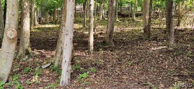 $15,000 | 421 Marina Drive, Marthasville, MO 63357