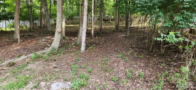 $15,000 | 421 Marina Drive, Marthasville, MO 63357