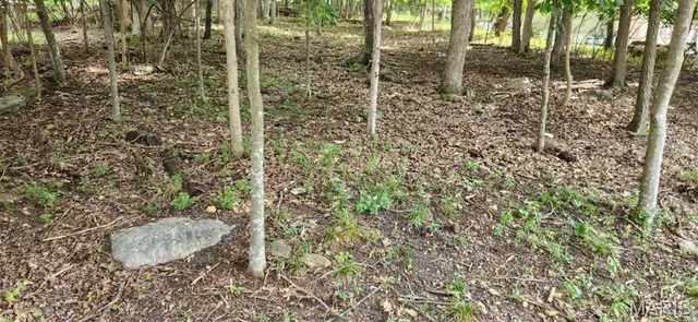 $15,000 | 421 Marina Drive, Marthasville, MO 63357