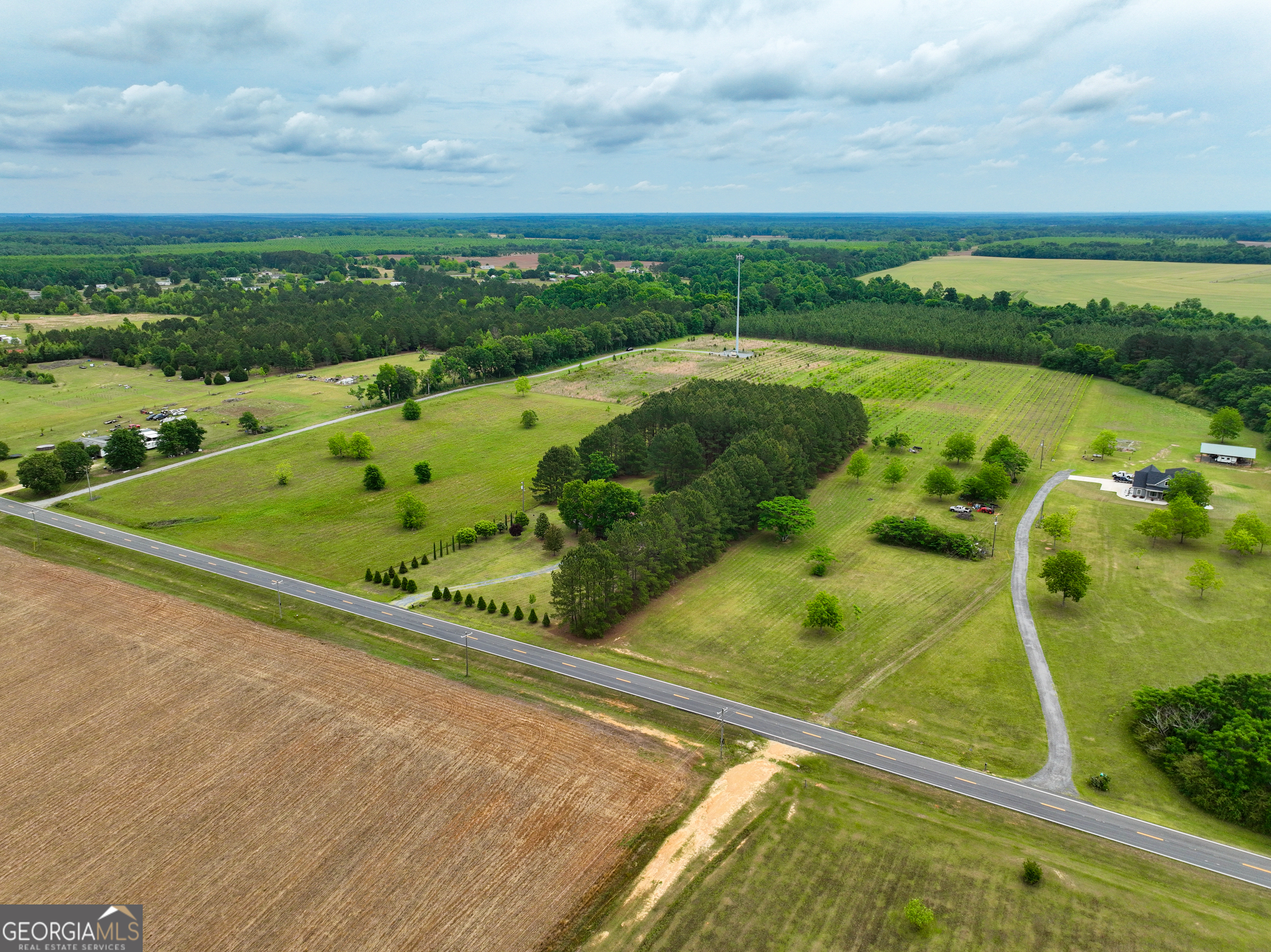 759 Pitts Road Hawkinsville, GA 31036 - Photo 4 of 15 Gallery Image 4