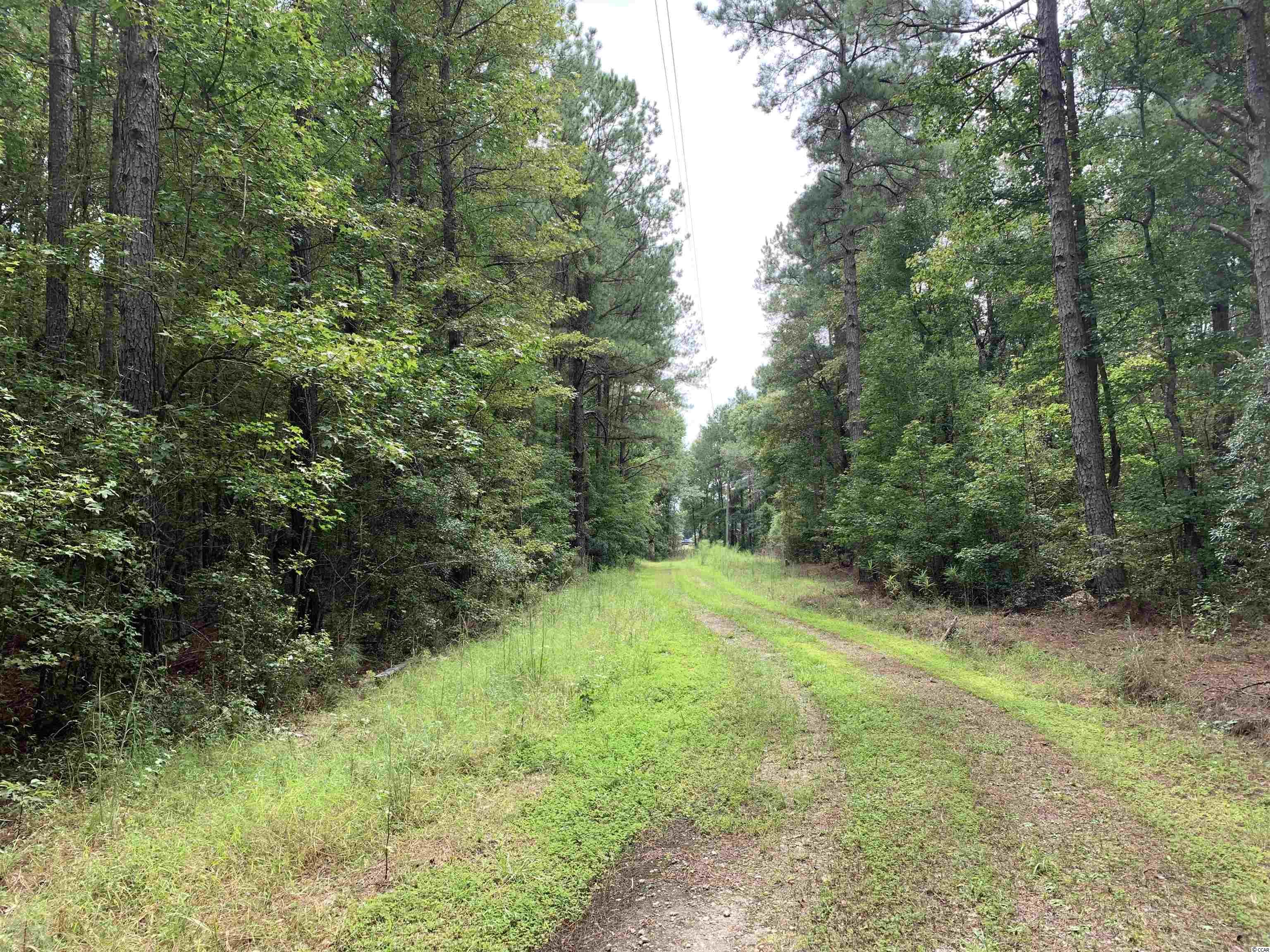 Tbt Black River Road New Zion, SC 29111 - Photo 1 of 19 Gallery Image 1