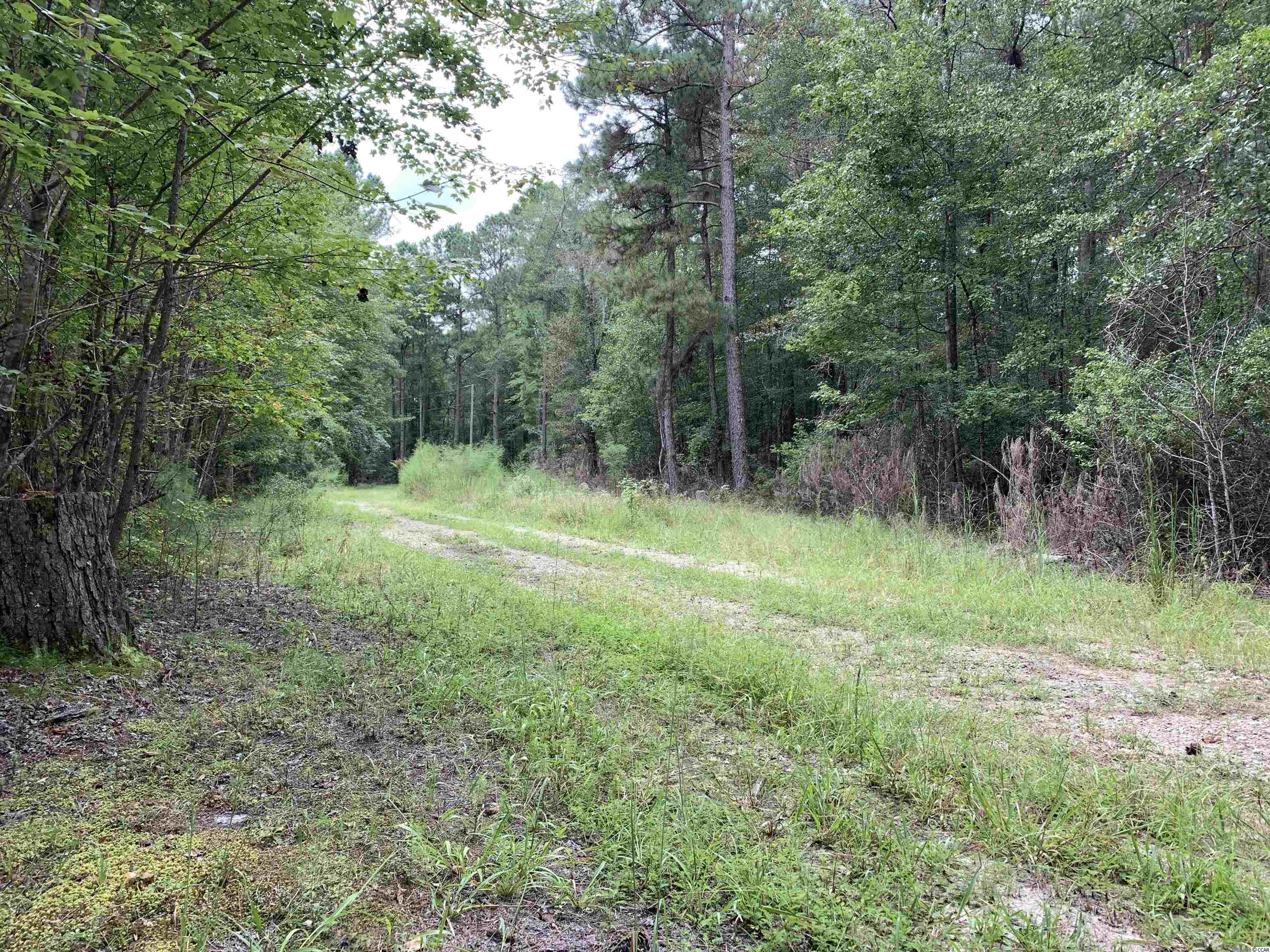 Tbt Black River Road New Zion, SC 29111 - Photo 2 of 19 Gallery Image 2