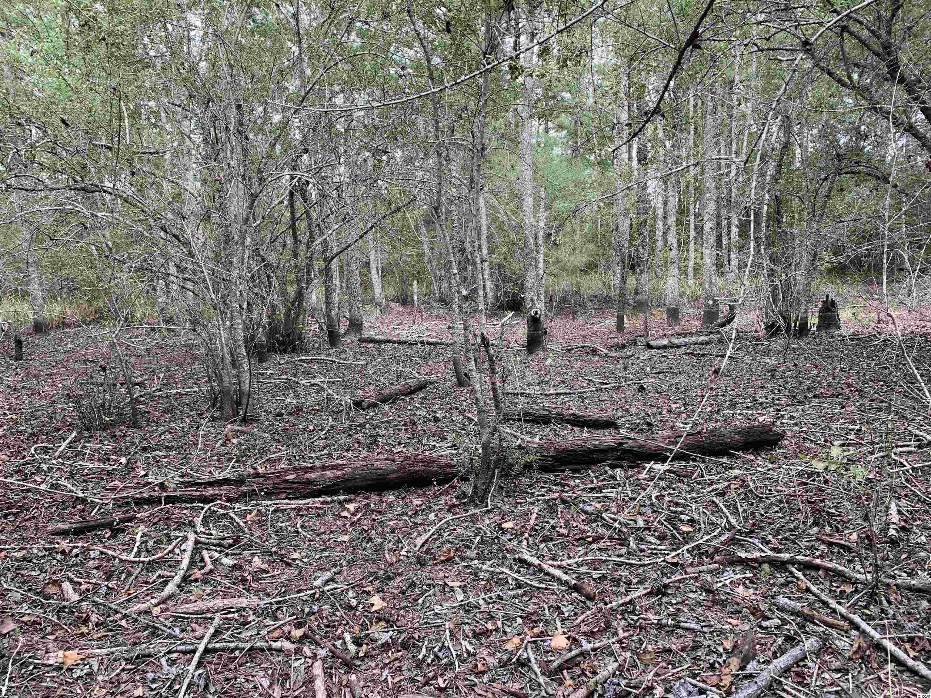 Tbt Black River Road New Zion, SC 29111 - Photo 11 of 19 Gallery Image 11