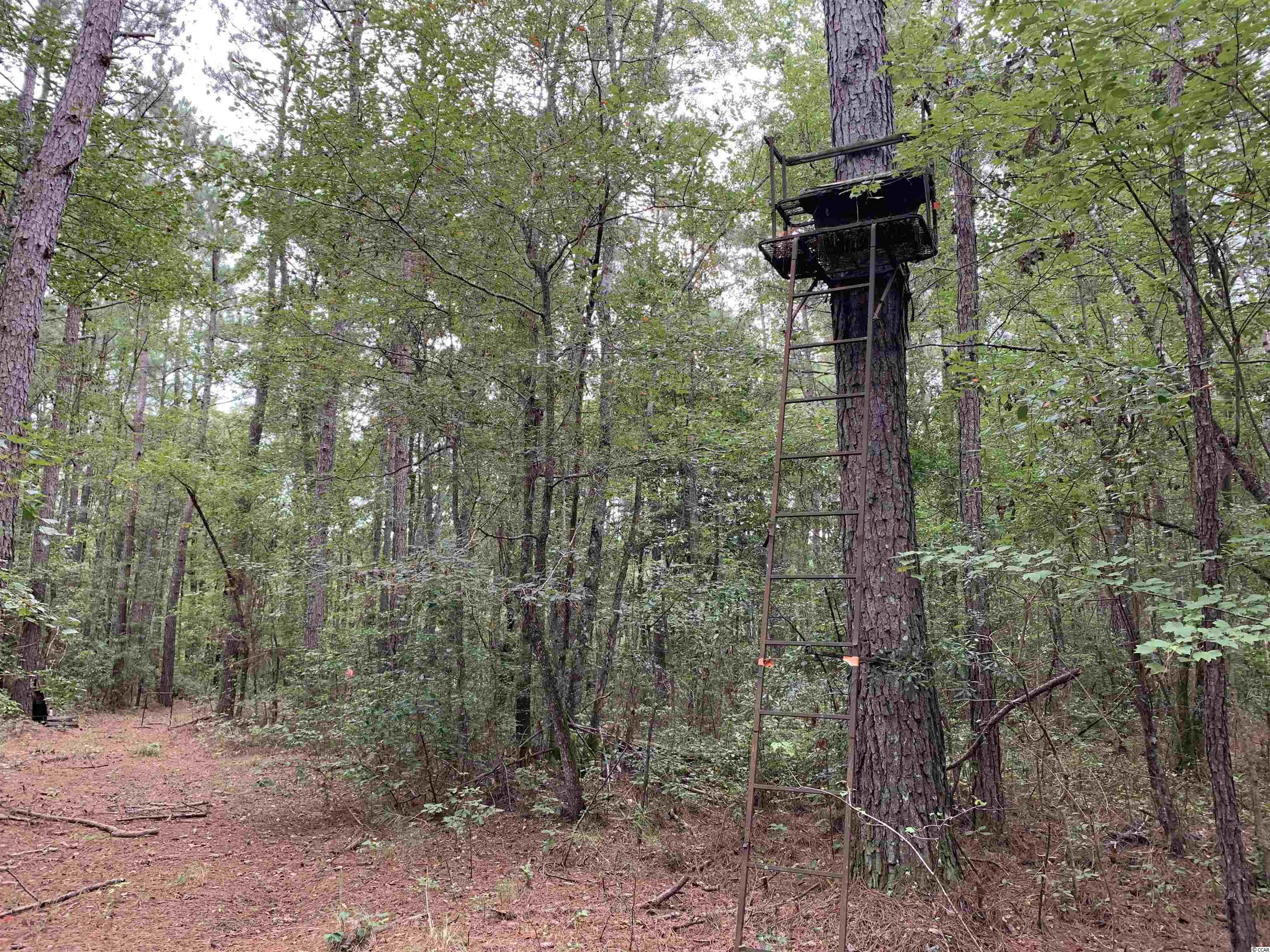 Tbt Black River Road New Zion, SC 29111 - Photo 12 of 19 Gallery Image 12