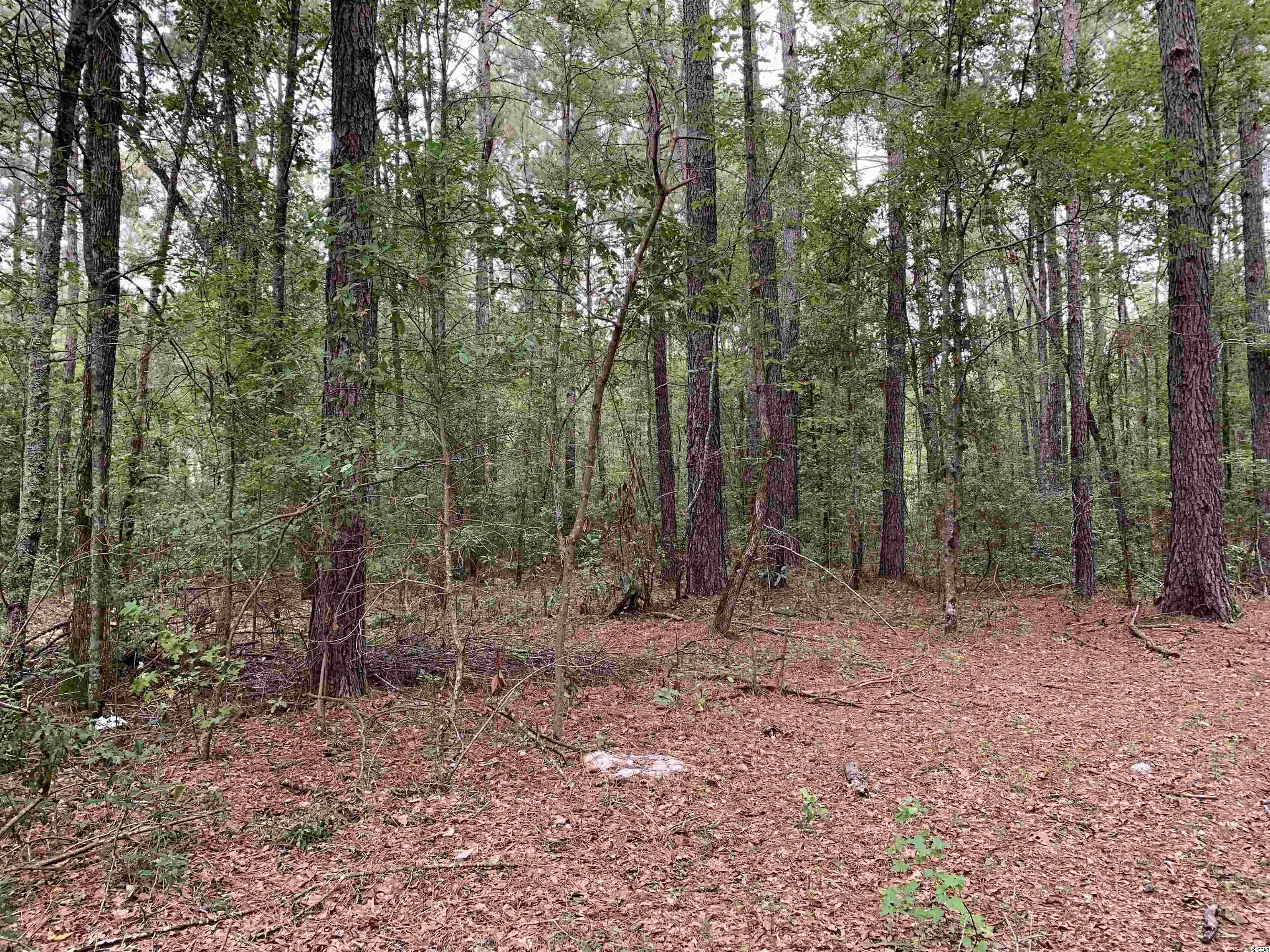 Tbt Black River Road New Zion, SC 29111 - Photo 15 of 19 Gallery Image 15