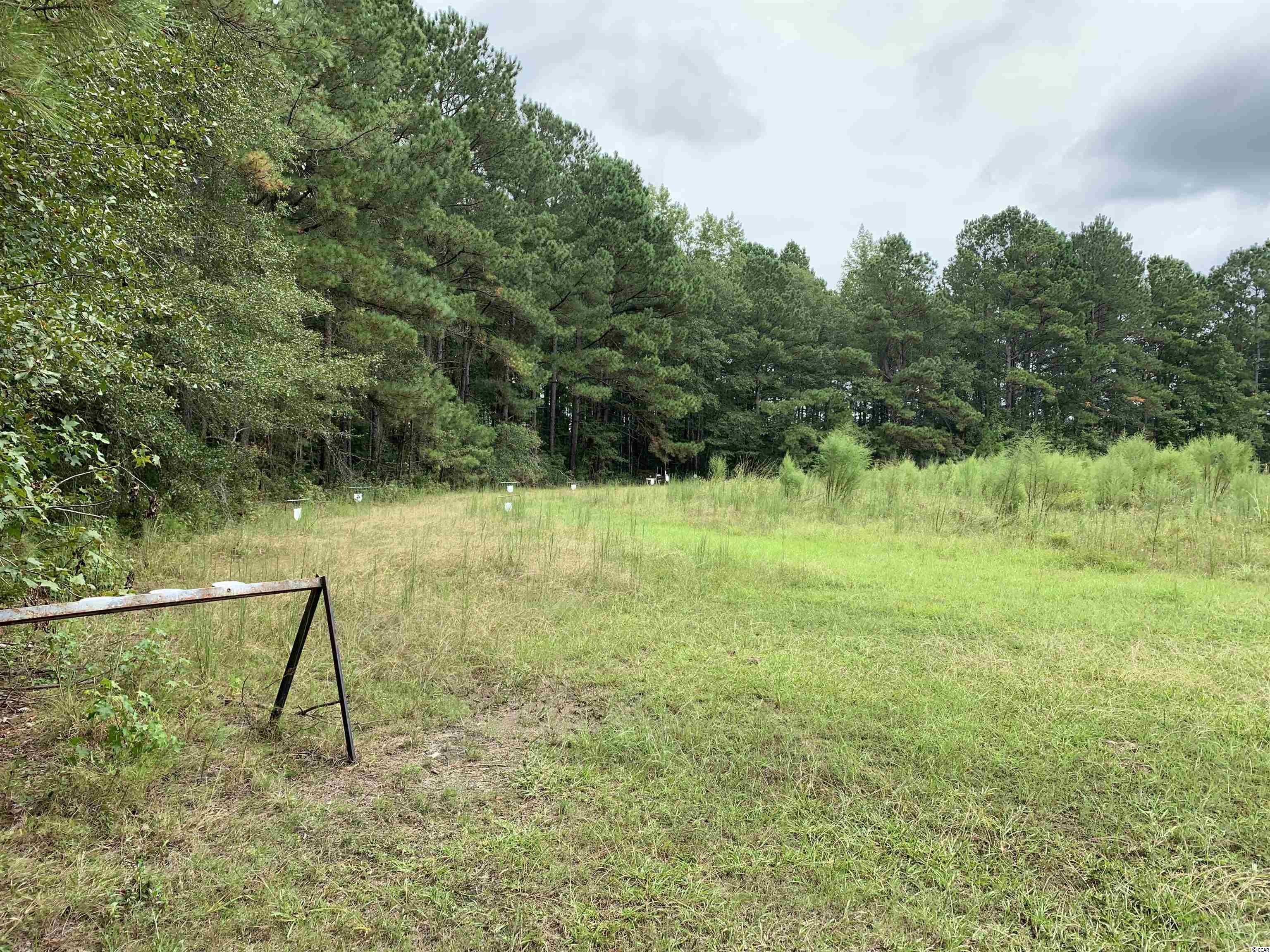 Tbt Black River Road New Zion, SC 29111 - Photo 16 of 19 Gallery Image 16